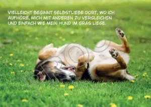 Postkarten mit Hundemotiv