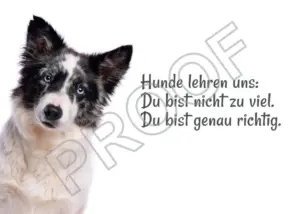 Postkarten mit Hundemotiv