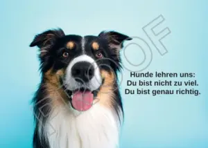 Postkarten mit Hundemotiv