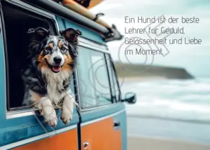 Postkarten mit Hundemotiv