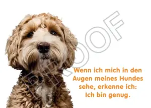 Postkarten mit Hundemotiv
