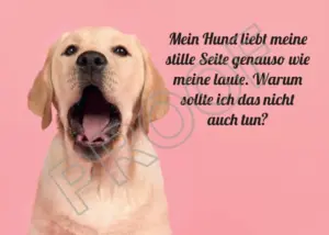 Postkarten mit Hundemotiv