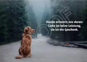 Postkarten mit Hundemotiv