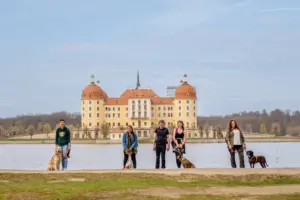 Hundespaziergang mit Fotoshooting