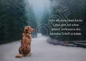 Postkarten mit Hundemotiv
