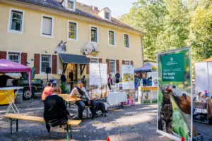 Spendenlauf Tierheim Freital
